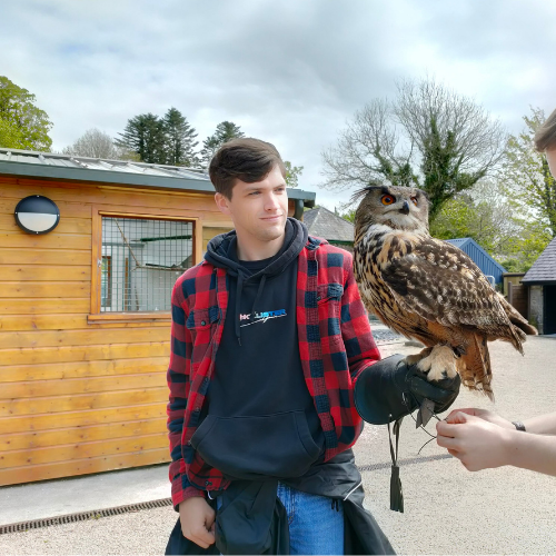 Young man holds an owl with a gloved hand.